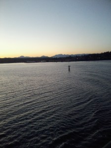 Why, camera, why!  Colors were way more vibrant than this.