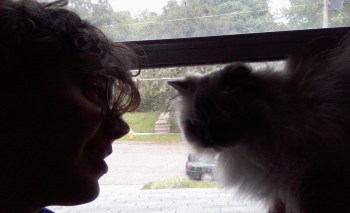 Discussion with my cat